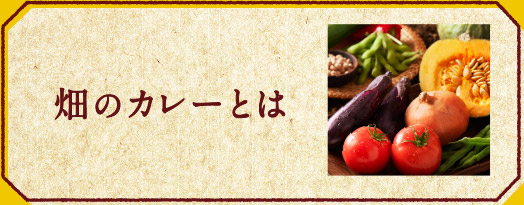 畑のカレーとは
